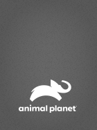 Animal Planet