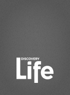 Discovery Life GO